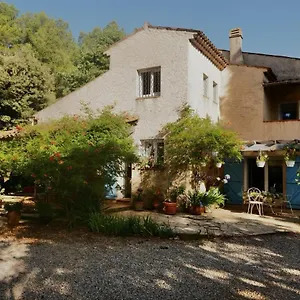 Le Niaouli France